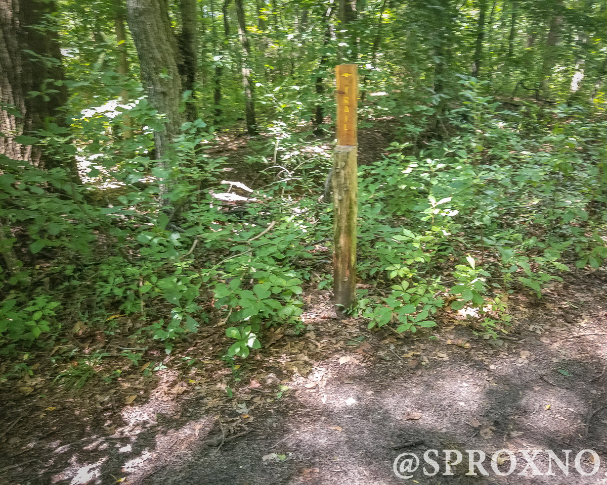 Woods of Wenonah Trail Pushing Myself