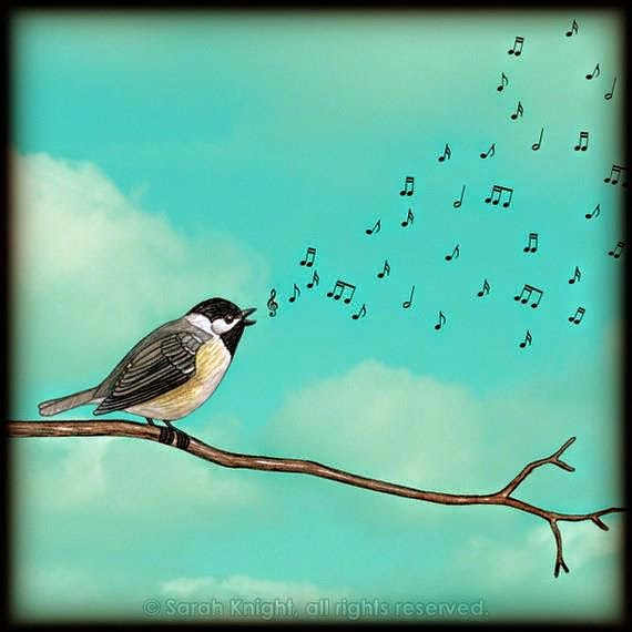 Видео музыка птиц. Птицы поют. Пение птиц картина. Птицы поют на дереве. Картина Поющие птицы.