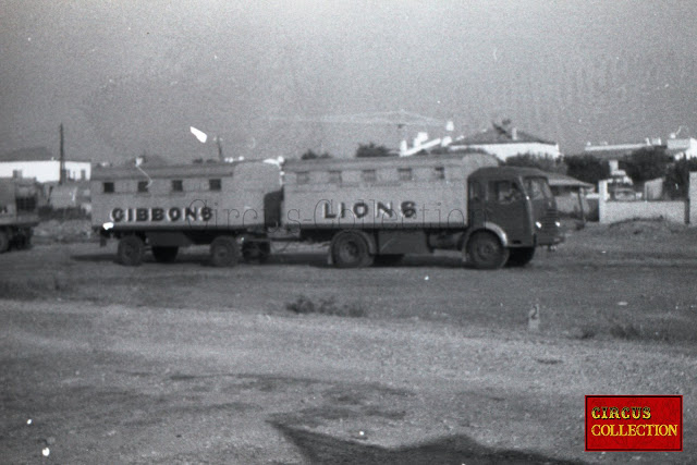 convois cage des Gibons et lions