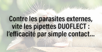  Contre les parasites externes, vite les pipettes DUOFLECT : l’efficacité par simple contact…