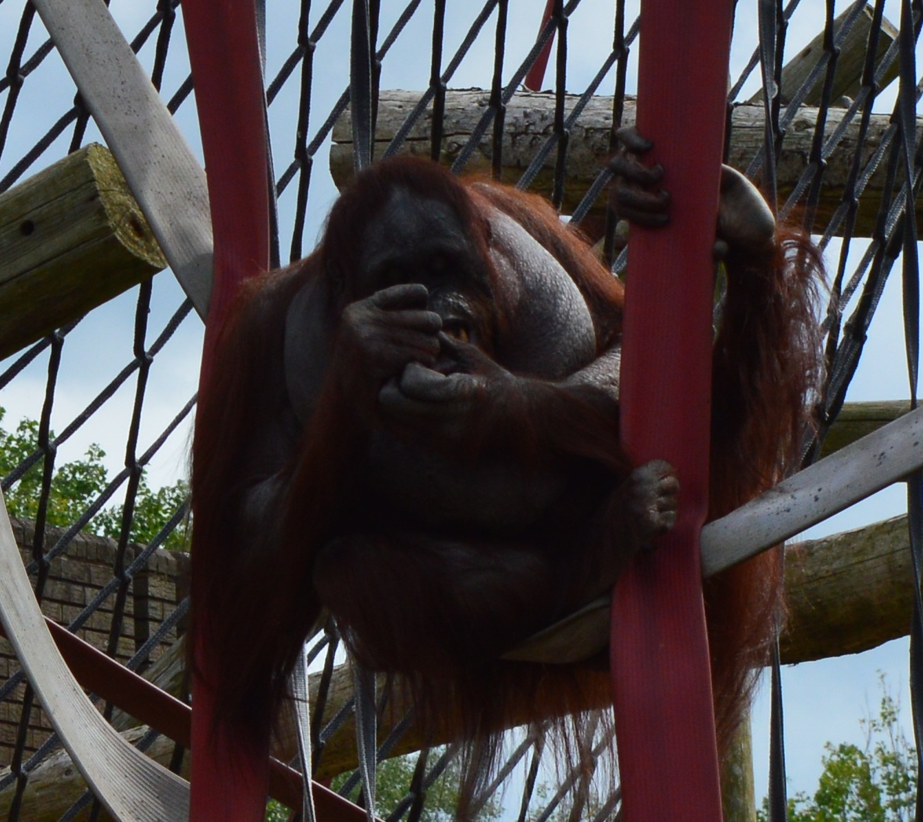 Blackpool Zoo A review North East Family Fun