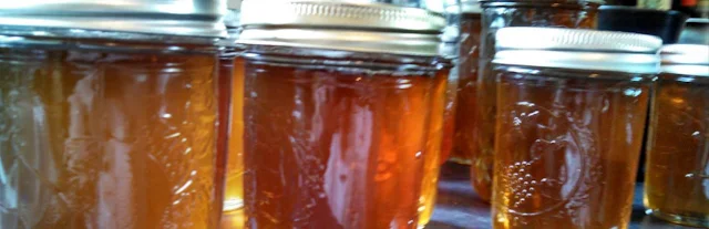 using honey to make home brew alcoholic