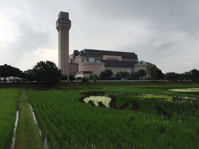 こしがや田んぼアート2015食戟のソーマ（7/5の様子）