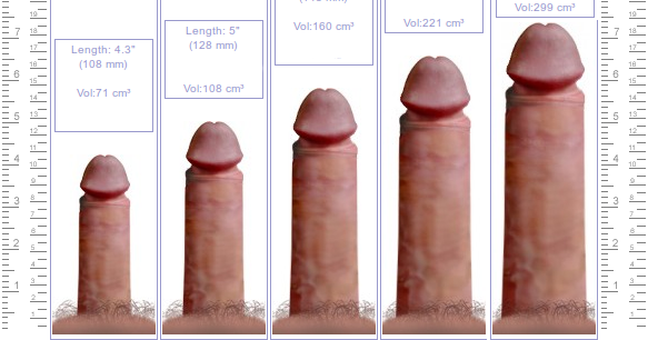 Penis Size Info 26