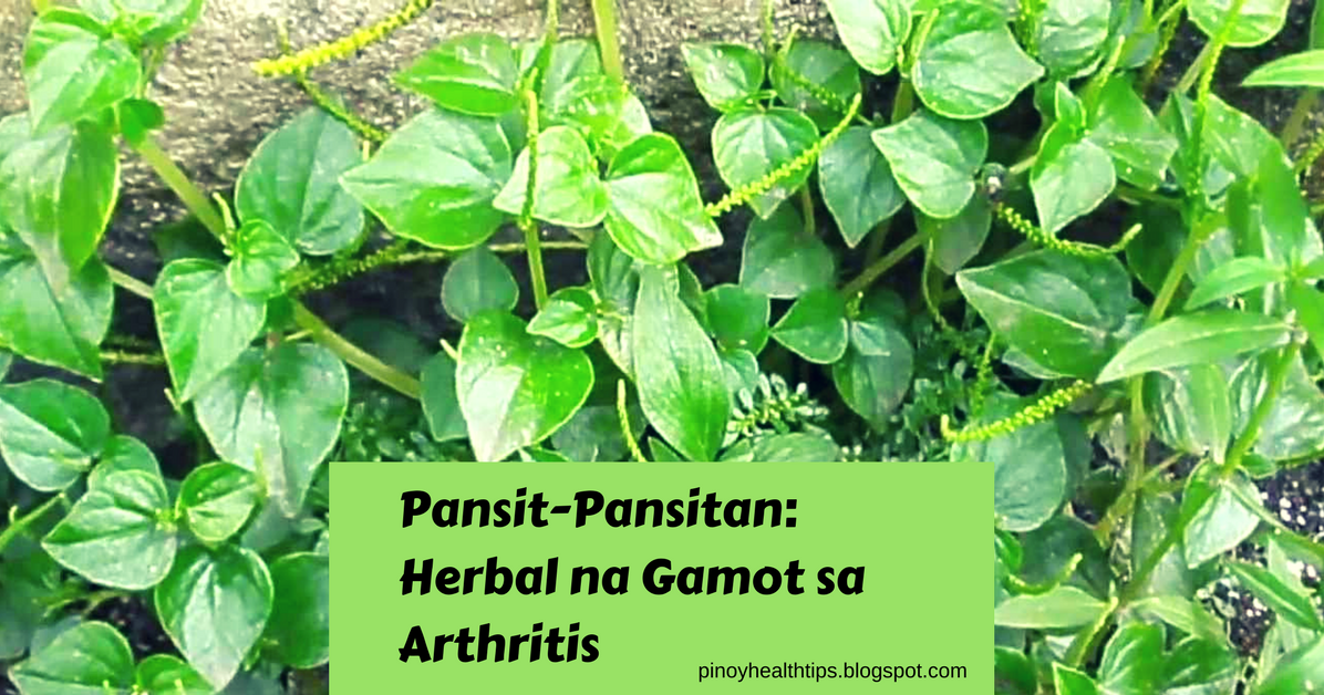 Pansit-Pansitan: Herbal na Gamot sa Arthritis