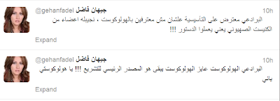 جيهان فاضل تعلن استقالتها من