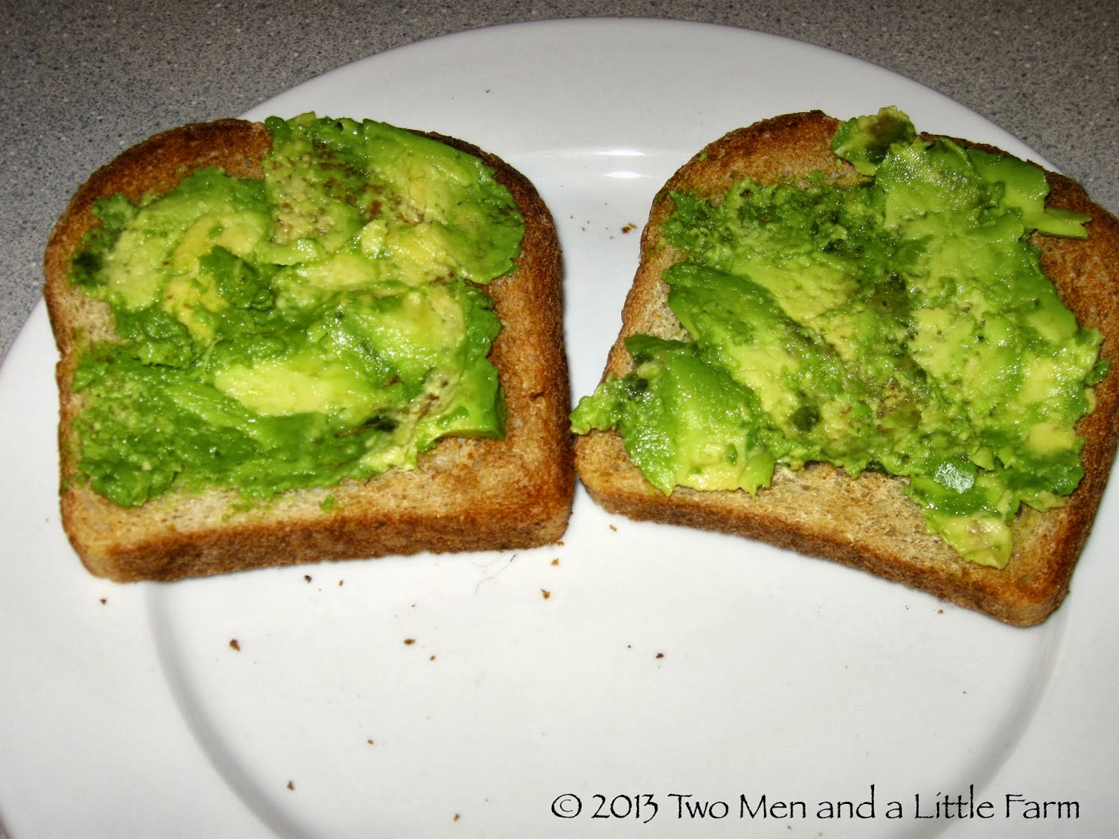 Two Men and a Little Farm AVOCADO AND EGGPLANT SANDWICH