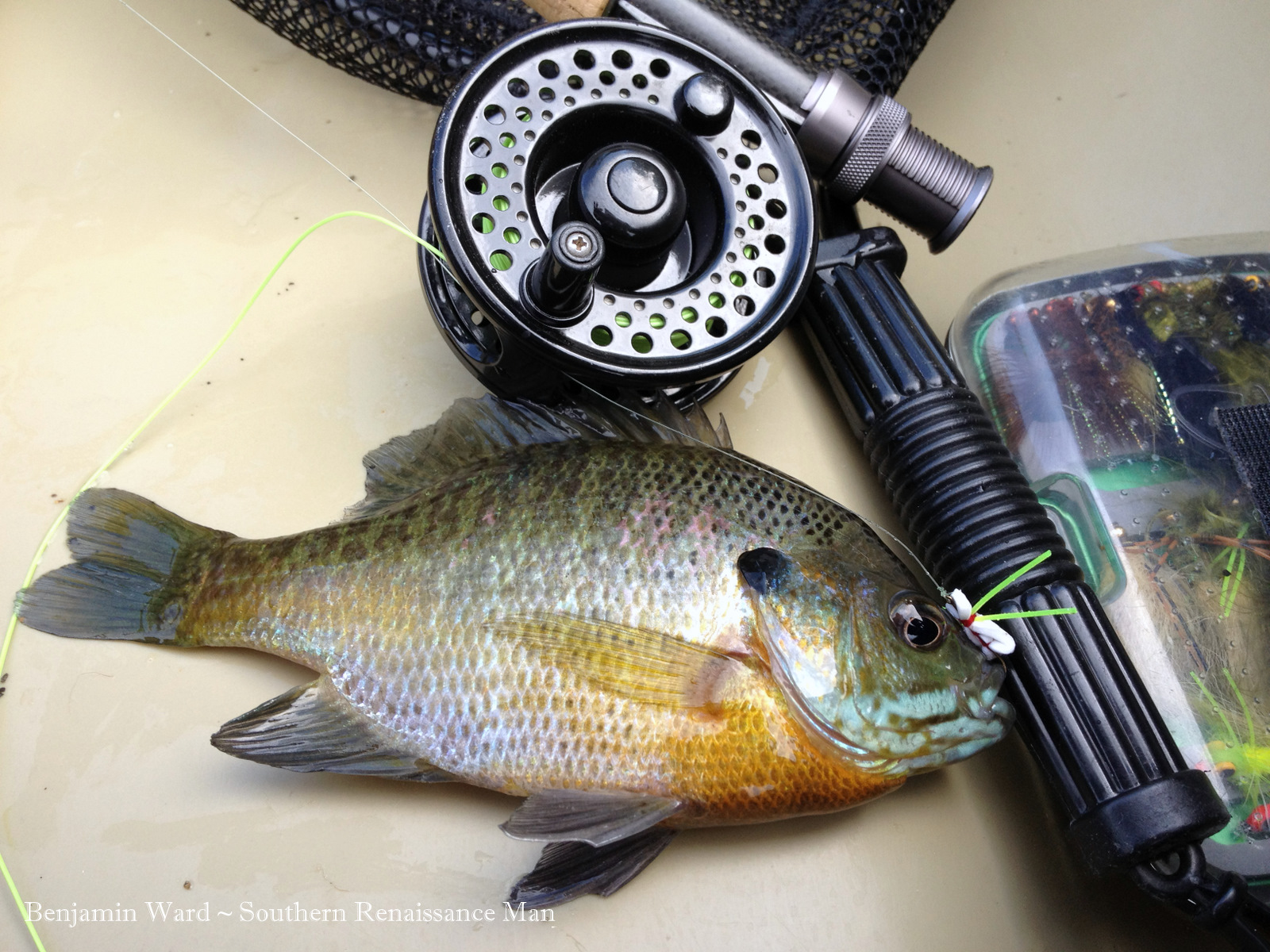 Southern Renaissance Man Fly Fishing Swift Creek Reservoir Virginia