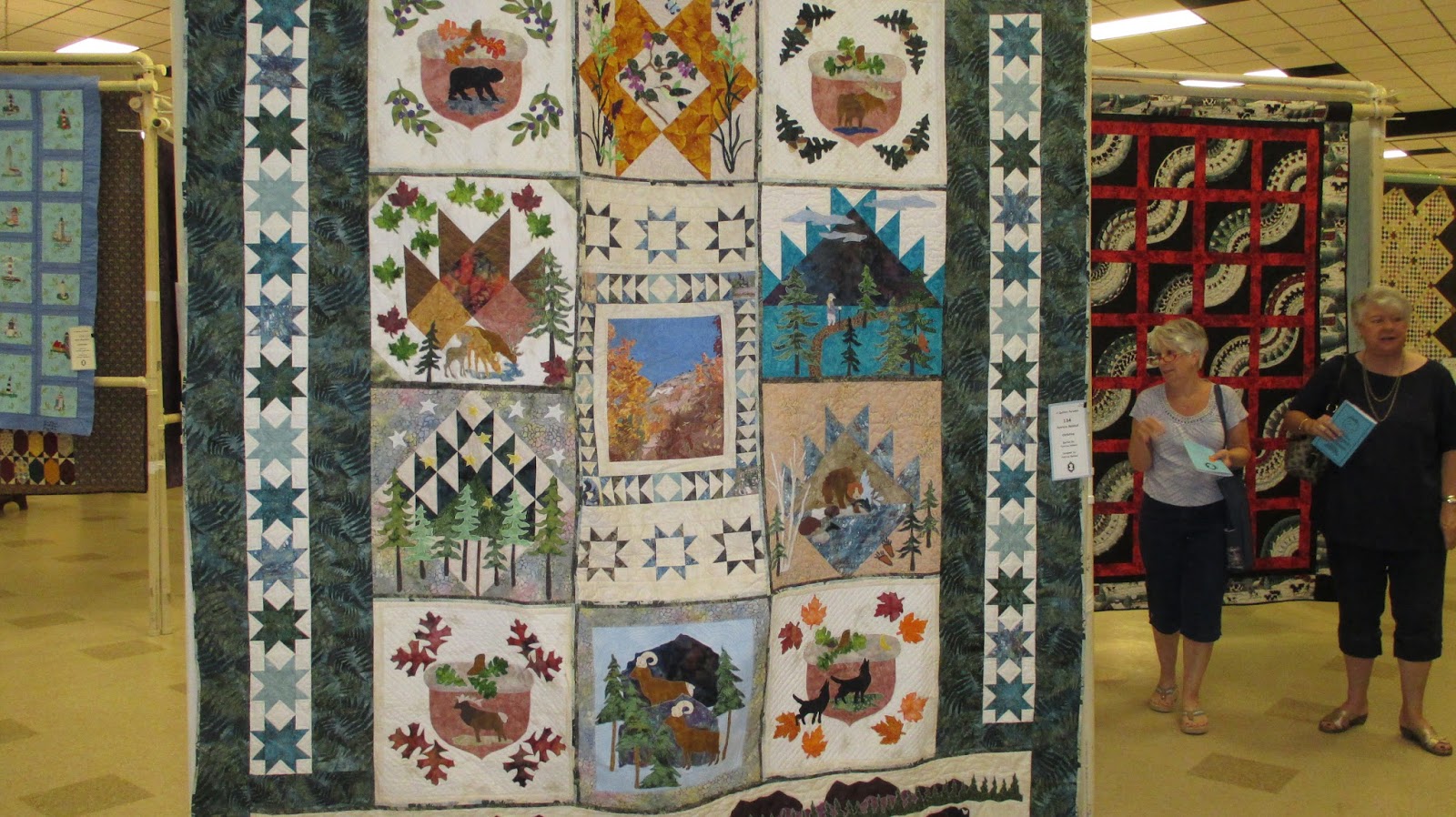 The Literate Quilter A Quilter's Paradise 2015 CAMEO Quilt Guild Show