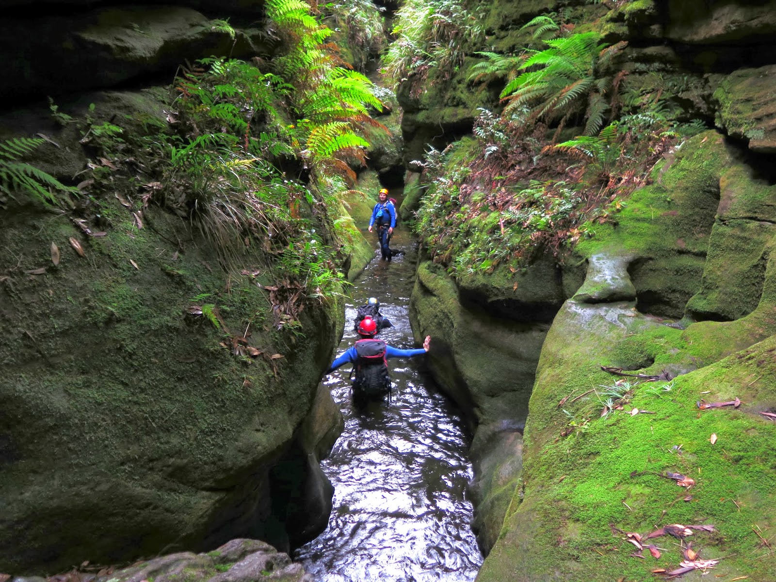 Darren M Claustral canyon