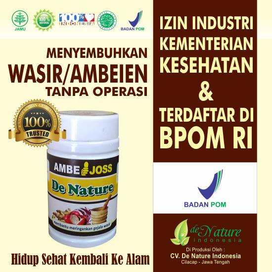 https://4.bp.blogspot.com/-qIxibccgGYo/V9to0E05KrI/AAAAAAAAAEs/wfBsMXWizfwItvV7McQRnJnAlW7vYHwZACLcB/s1600/Apakah-Ambeien-Bisa-Sembuh-Total.jpg