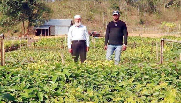 Planting is an eco-friendly tree in the Garo Hills গারো পাহাড়ে রোপন হচ্ছে পরিবেশ বান্ধব বৃক্ষ