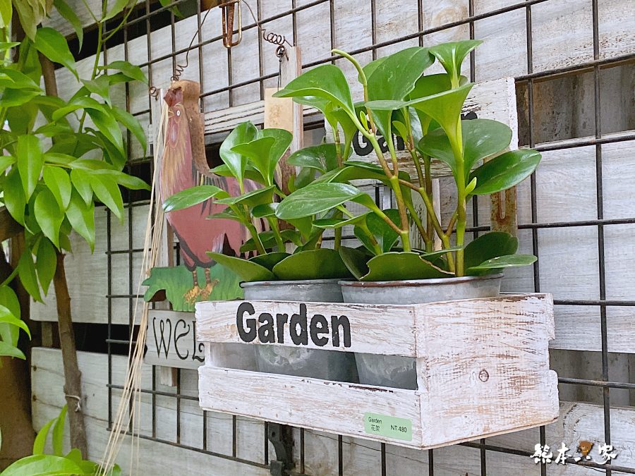 柚莉YURI Store Zakka鶯歌多肉植物店滿滿童趣文青風的秘巷雜貨店