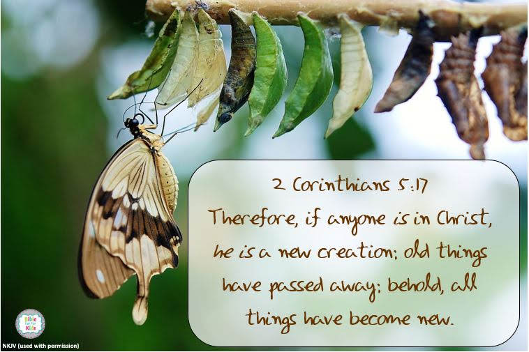 A New Creation in Jesus Bible Fun For Kids