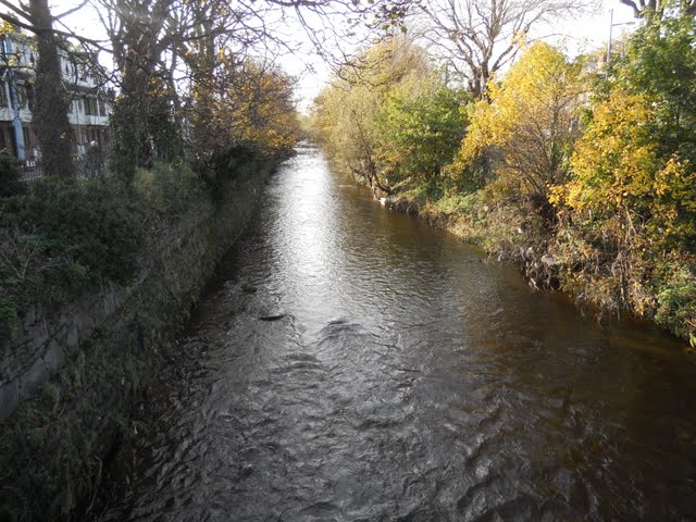 Walk the River Dodder in Dublin