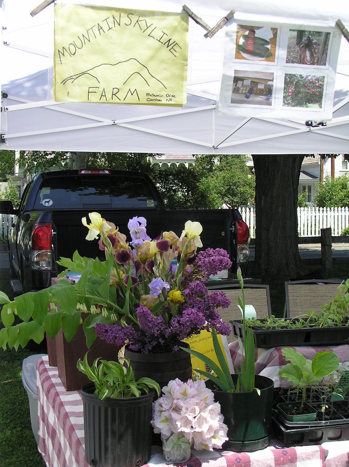 Windsor Farmers' Market Opening Day at Windsor Farmers' Market