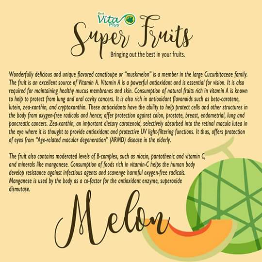 First Vita Plus Champions Health Team Melon Flavor