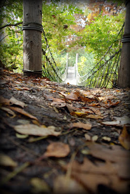bridge with leaves