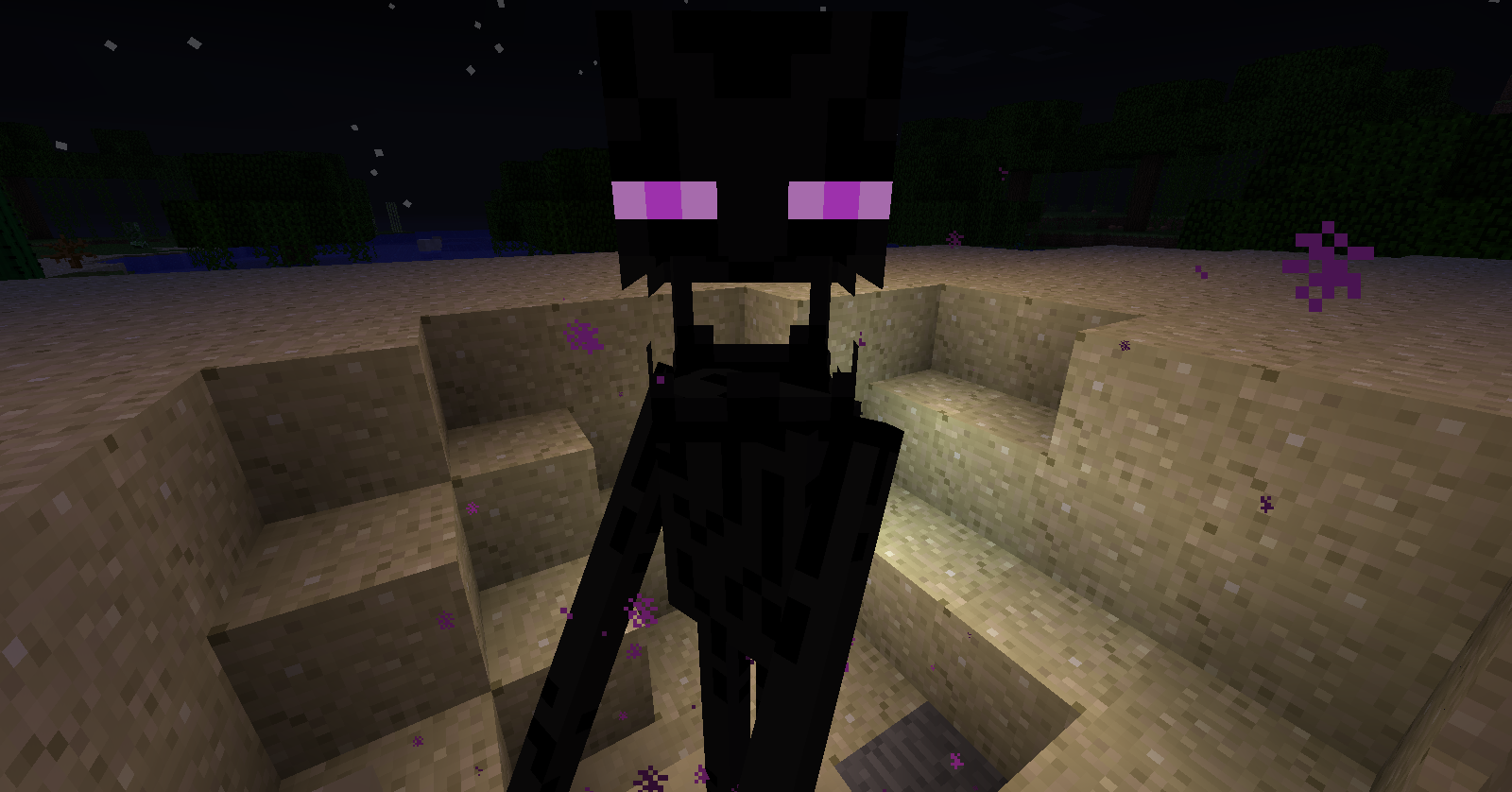 Connor's Gaming Blog RANDOM ENDERMEN PICS!