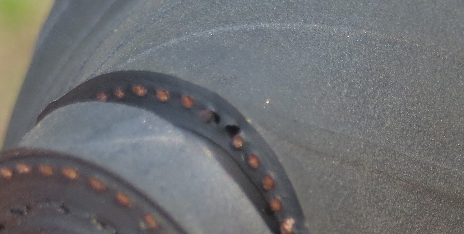 RV Tire Safety Sidewall "Bubble" or ? A Tire Autopsy