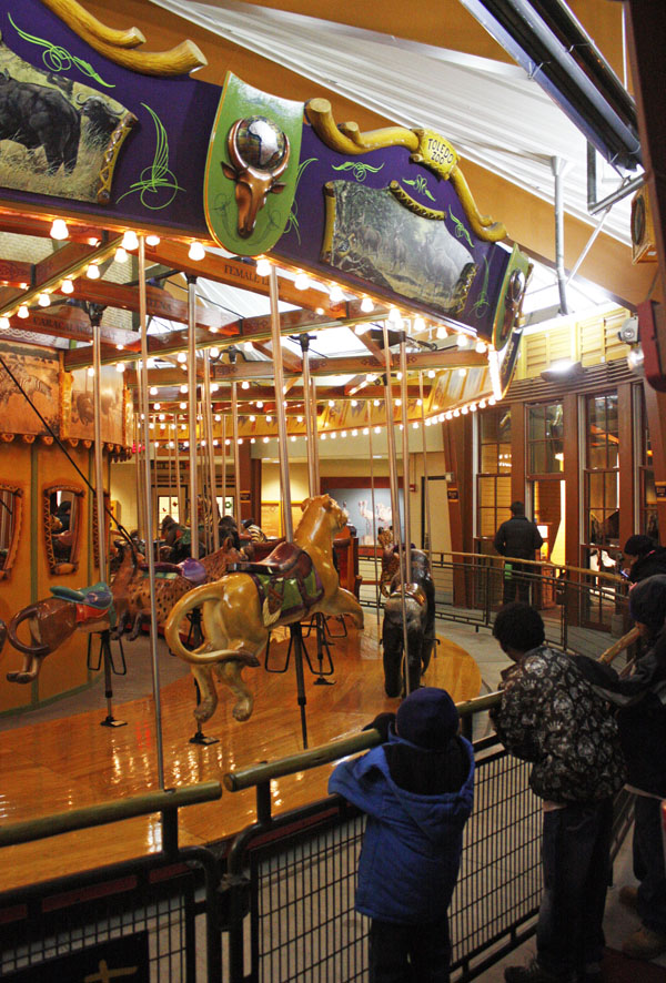 The Coston Chronicles Carousels at the Toledo Zoo, Christmas 2011