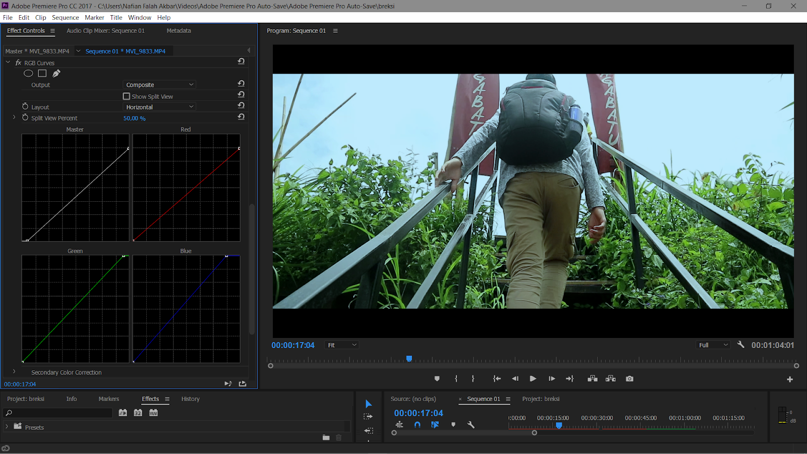Tutorial Color Grading Di Adobe Premiere Pro Tutorial Color Grading Di Adobe Premiere Pro