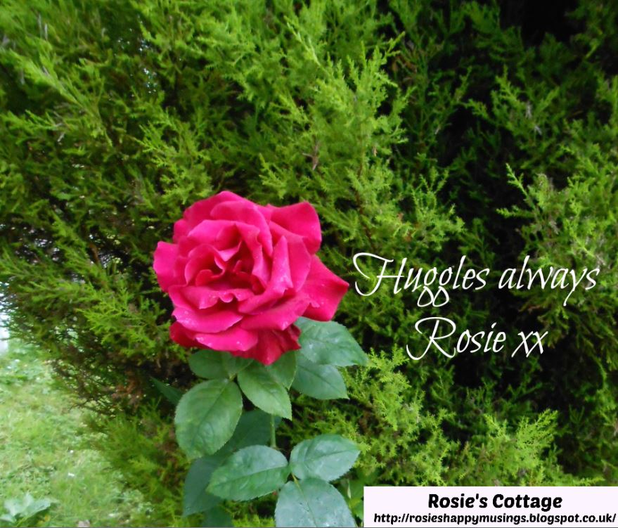 Rosie's Cottage: Cyrano De Bergerac: A Sweet Smile From Hubby...