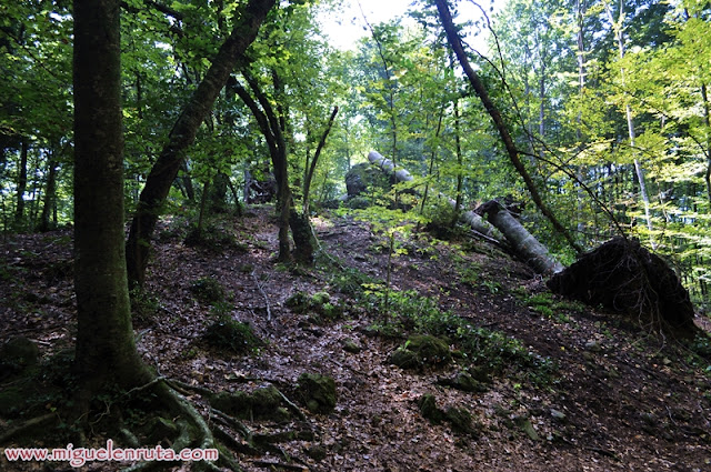 La Garrotxa