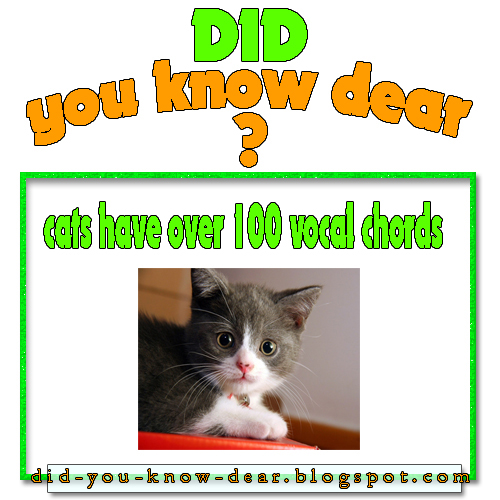 cats have over 100 vocal chords Did you know