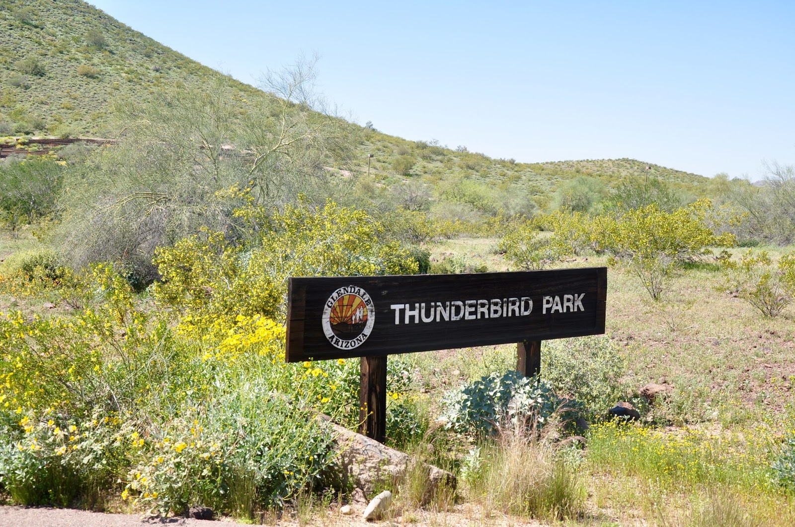 Finding Arizona 5 Thunderbird Conservation Park