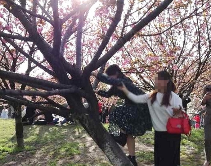 이미지에 대체텍스트 속성이 없습니다; 파일명은 sina.jpg 입니다.
