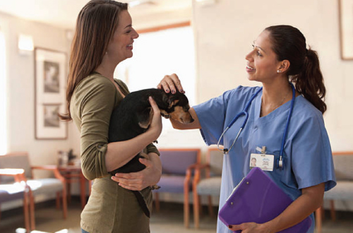 woman holding dog with vet