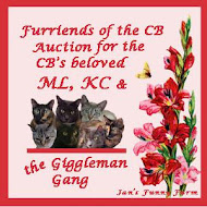 Cat Blogosphere Auction