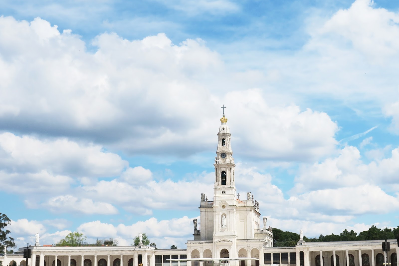 Homens solteiros 45 anos