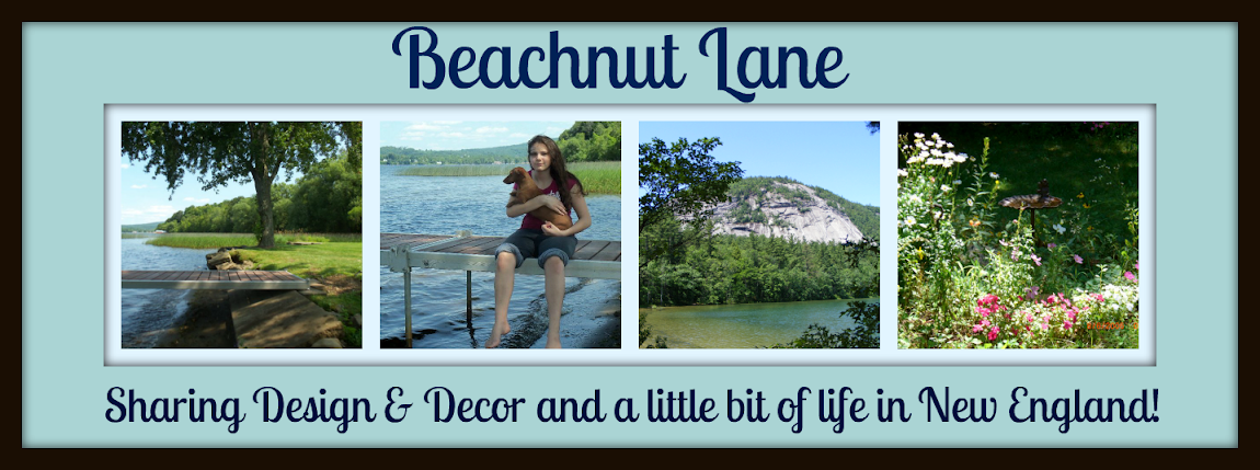 Beachnut Lane