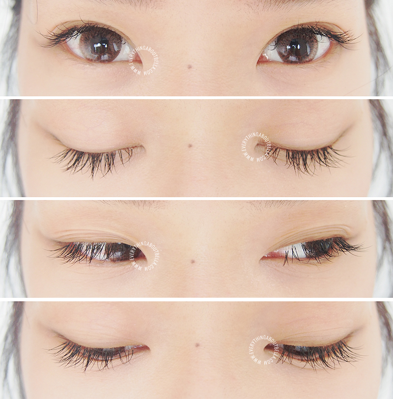 Novalash Eyelash Extension at Everlash Lash Expert Everything About