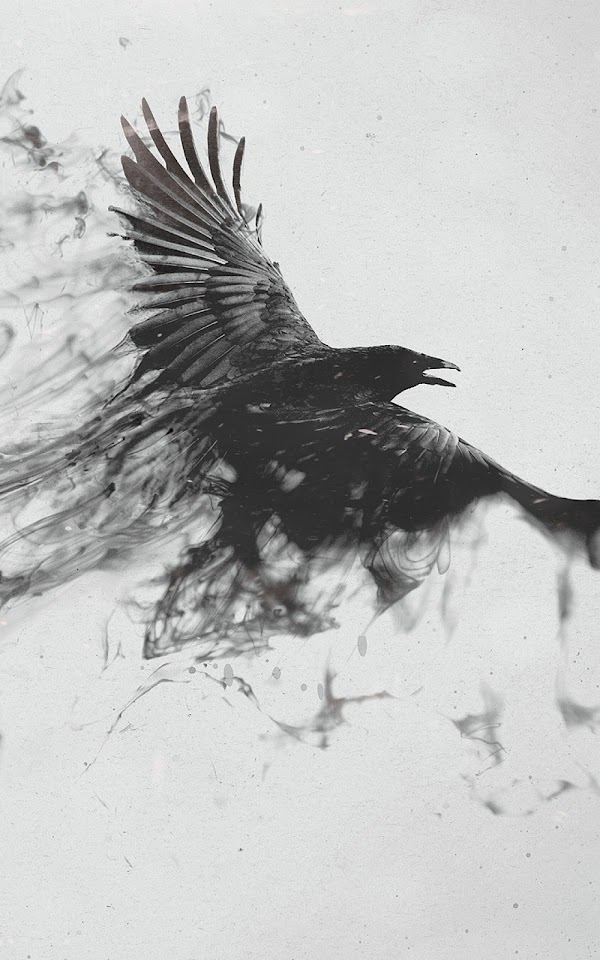 Black Smoke Crow  Android Best Wallpaper