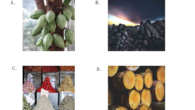 Soal Ph 1 Ips Kelas 9 Semester Genap