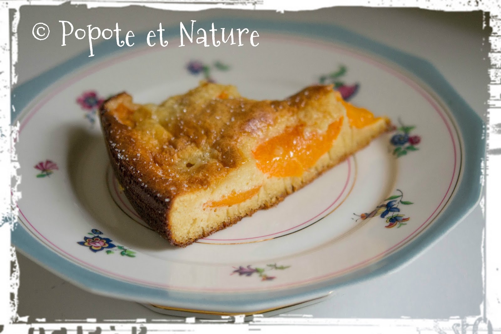 © Popote et Nature - Gâteau aux abricots et au chocolat blanc