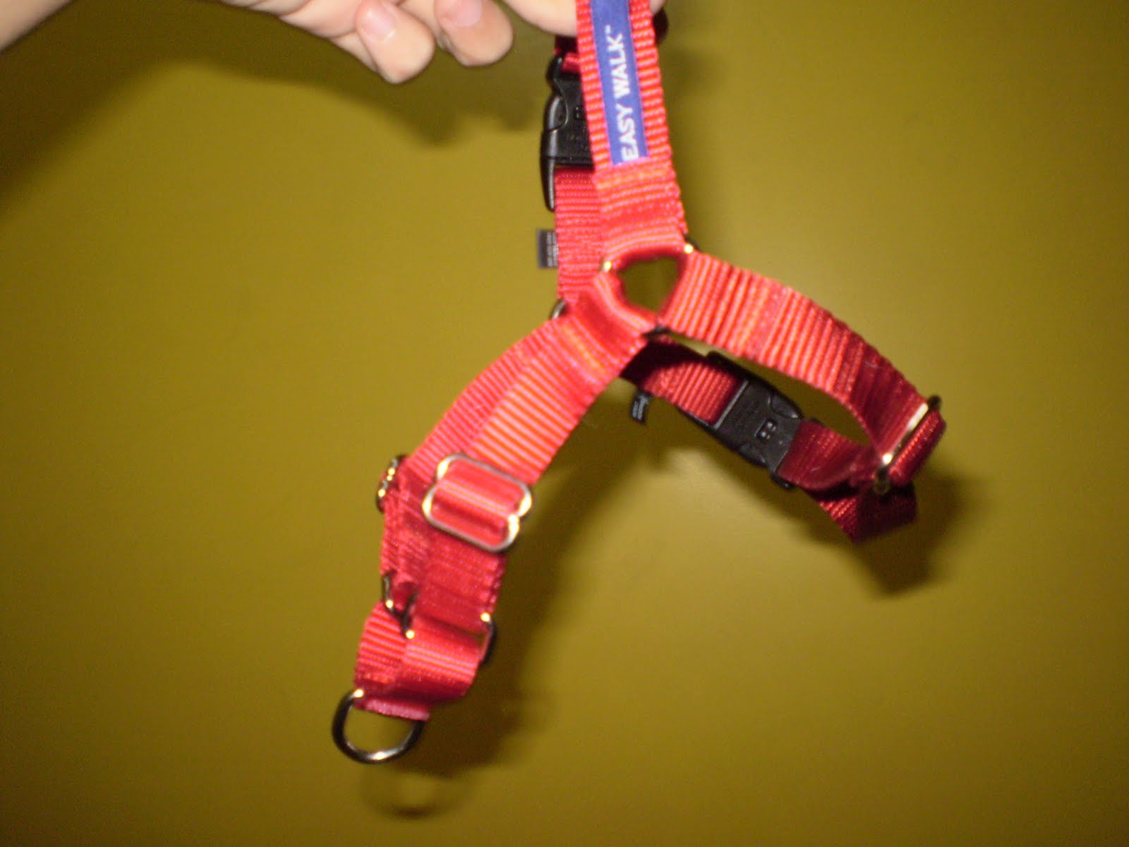 Diário da Holly Easy Walk Harness