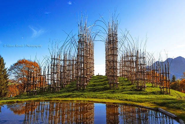 Cathedral made out of living trees-6