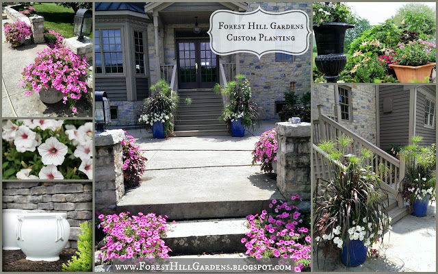 Forest Hill Gardens: Services