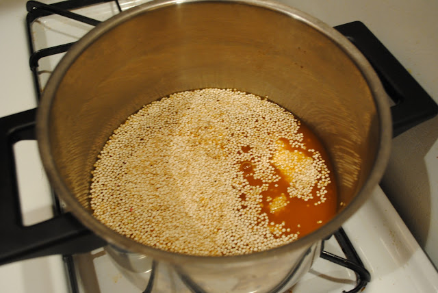 Garlic Chicken Stir Fry with Quinoa | The Ghost Guest