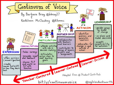 Image result for continuum of voice