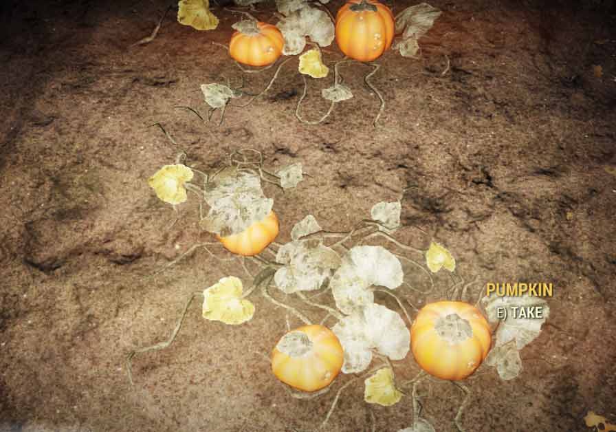 Fallout 76 Pumpkin