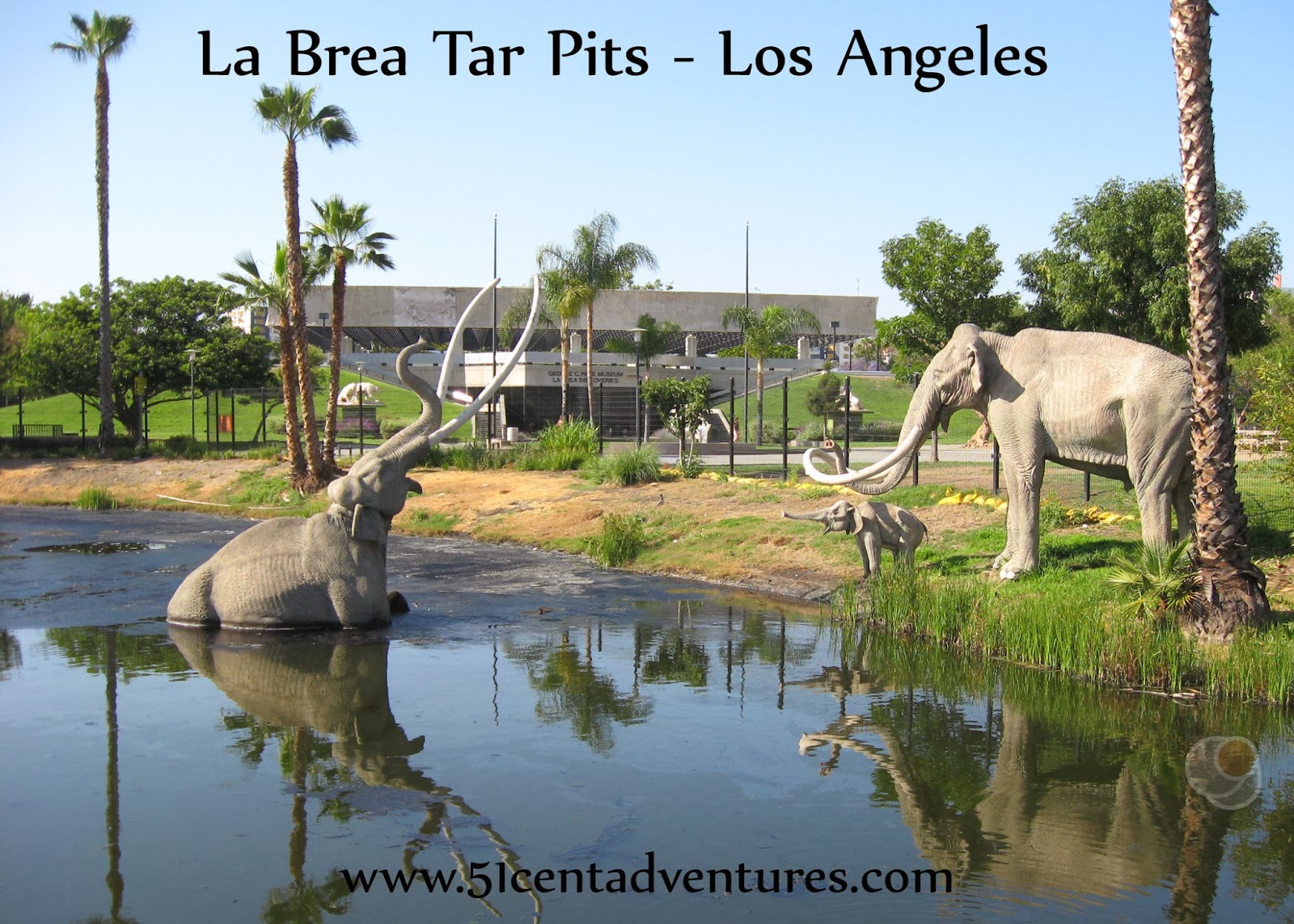 La Brea Tar Pits And Museum Parking