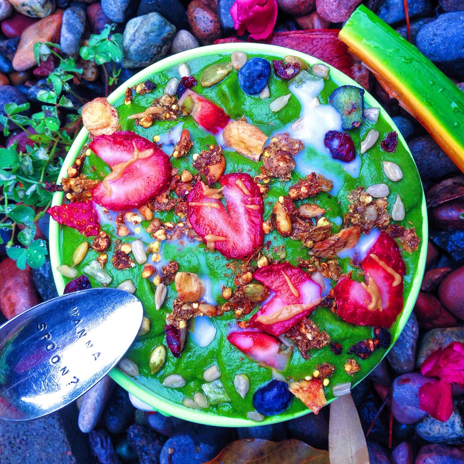 Sail Away Worry Free:  The Best Celiac Cruise For 2026 - bvcyprn