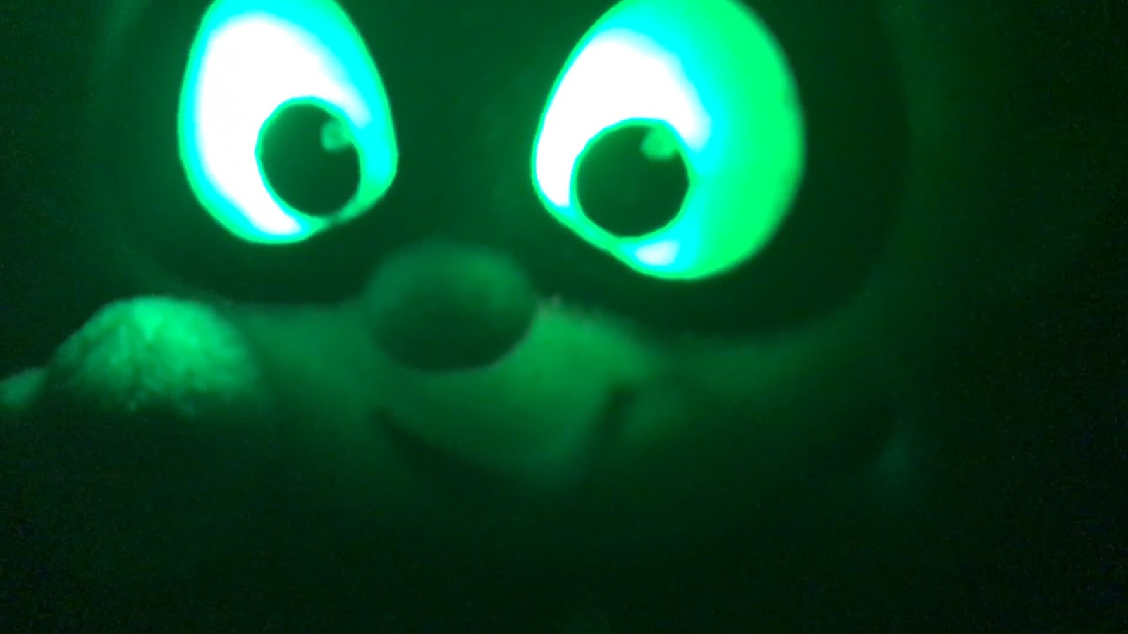 Play, Live, Repeat Product Reviews, Family, NYC Life Video and Toy