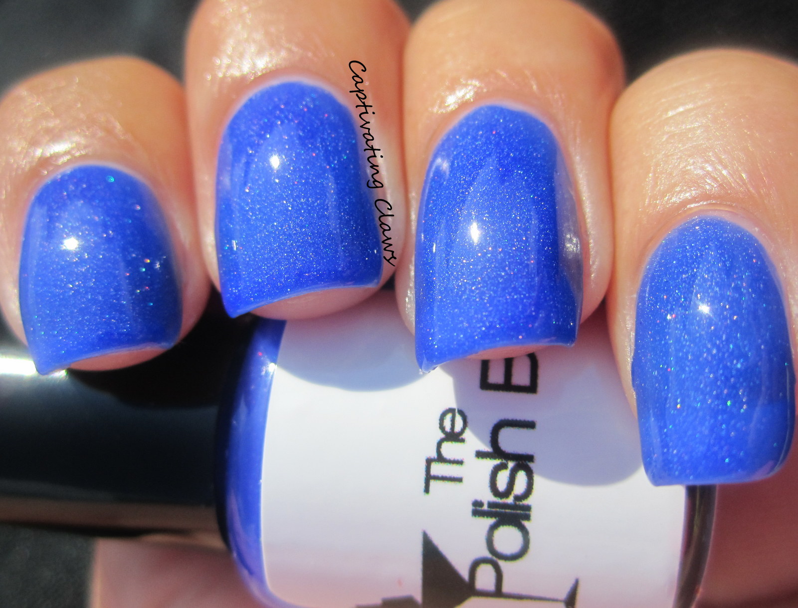 Captivating Claws The Polish Bar Summer 2013 Holo Jellies