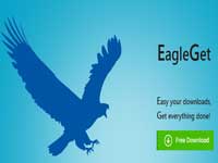 تحميل برنامج ايجل جيت EagleGet عربى مجاني تحميل برنامج ايجل جيت EagleGet عربى مجاني